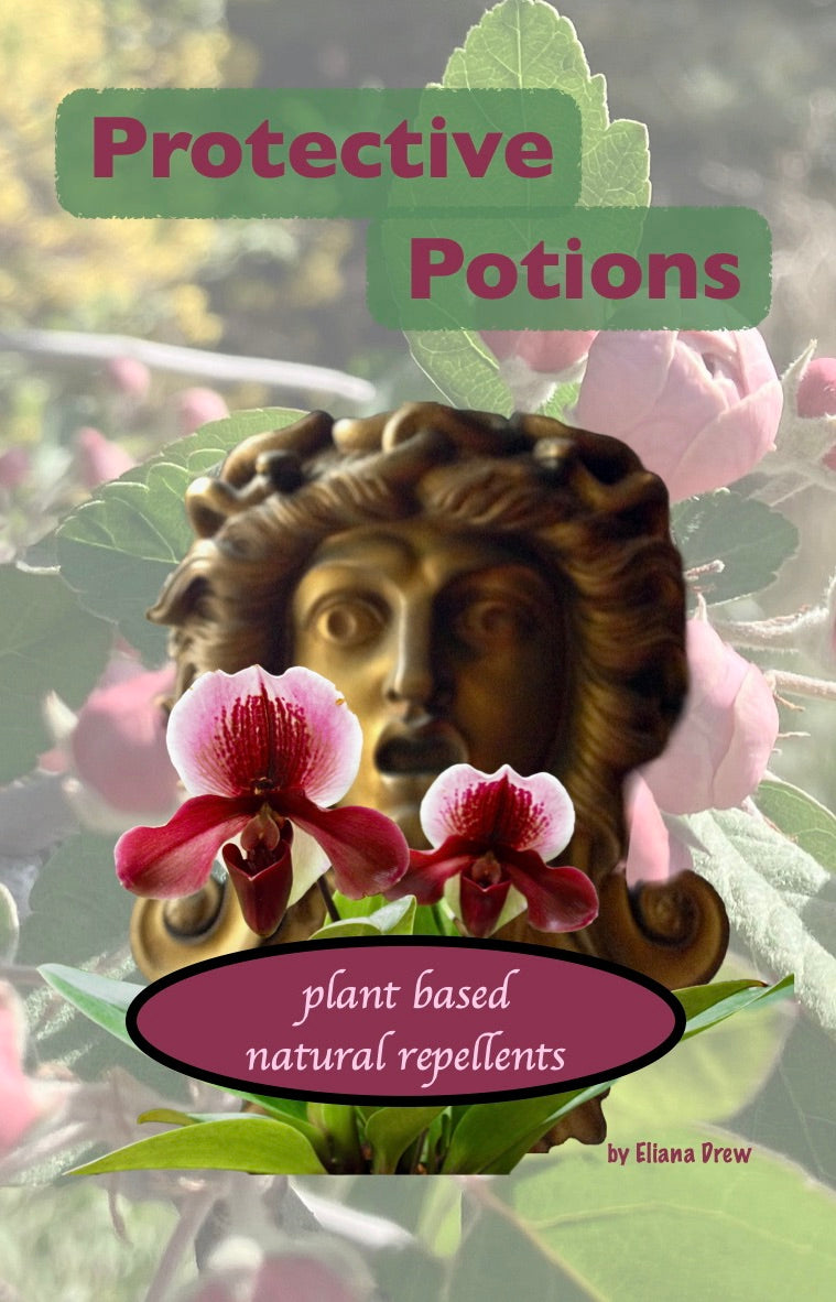 PROTECTIVE POTIONS ~ plant based natural repellents